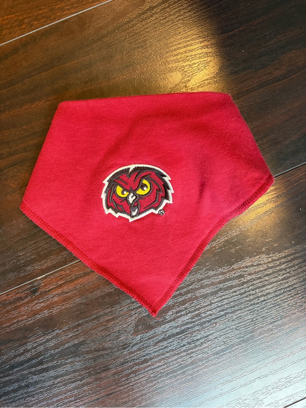 Temple University Baby Bib